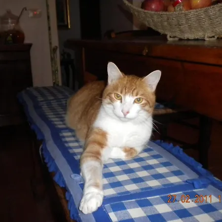 Country house Bed & Breakfast La Fiaba *