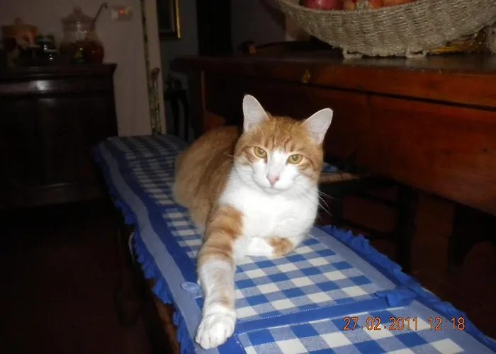 Venkovský dům La Fiaba *
